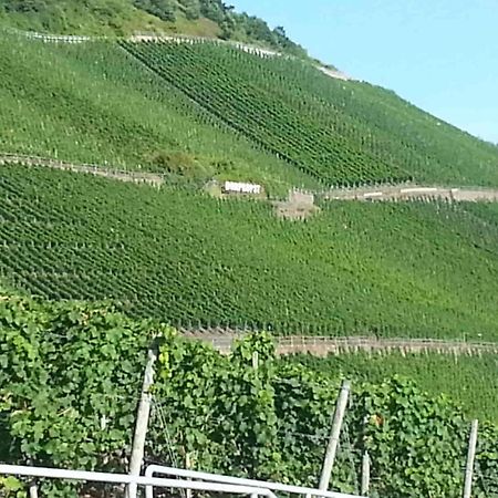 Weinhaus Hotel Zum Josefshof Graach Esterno foto