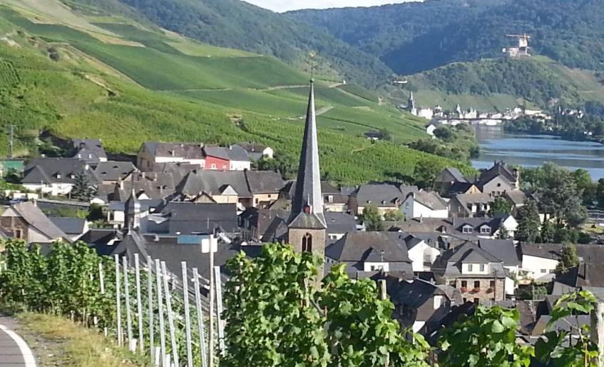 Weinhaus Hotel Zum Josefshof Graach Esterno foto