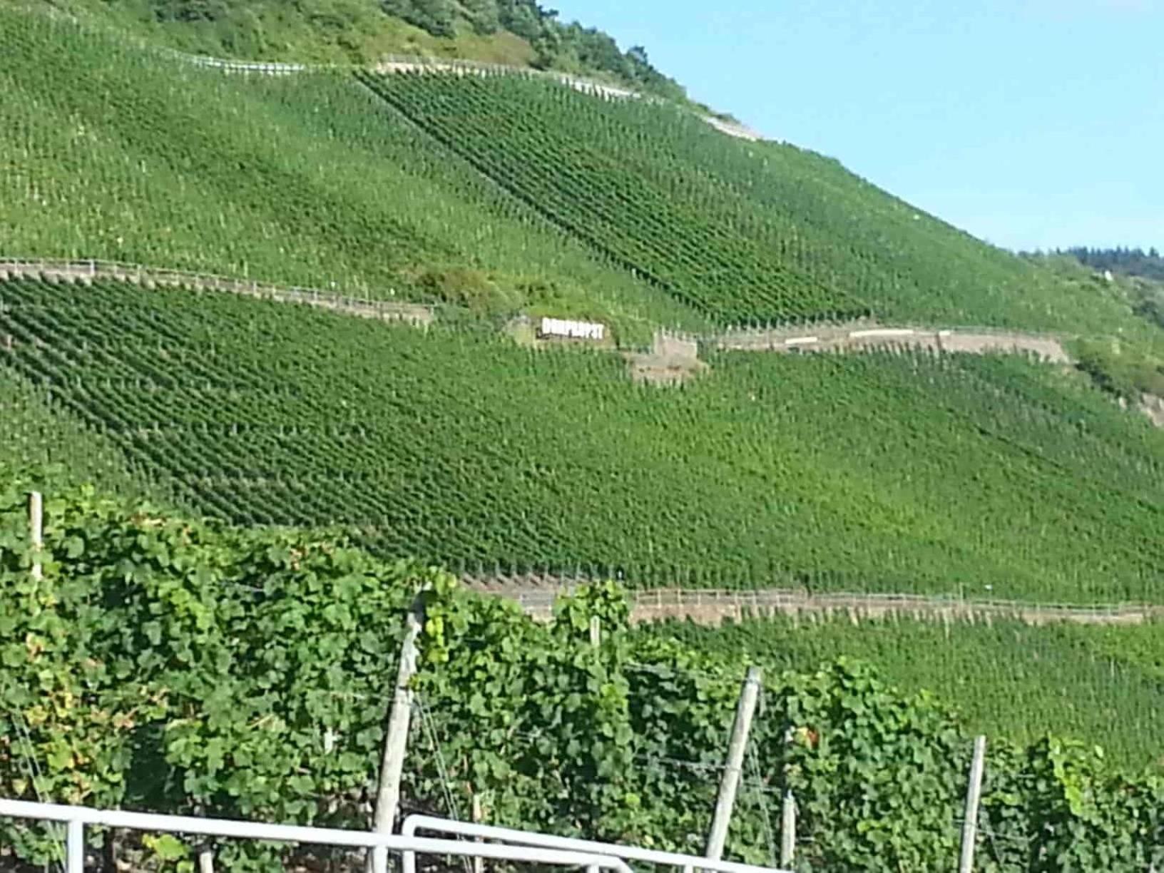Weinhaus Hotel Zum Josefshof Graach Esterno foto